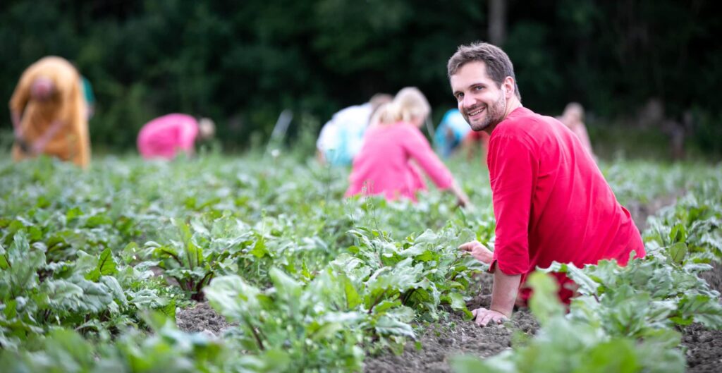 Nils Peter Neumann bei der Arbeit auf einem Feld.