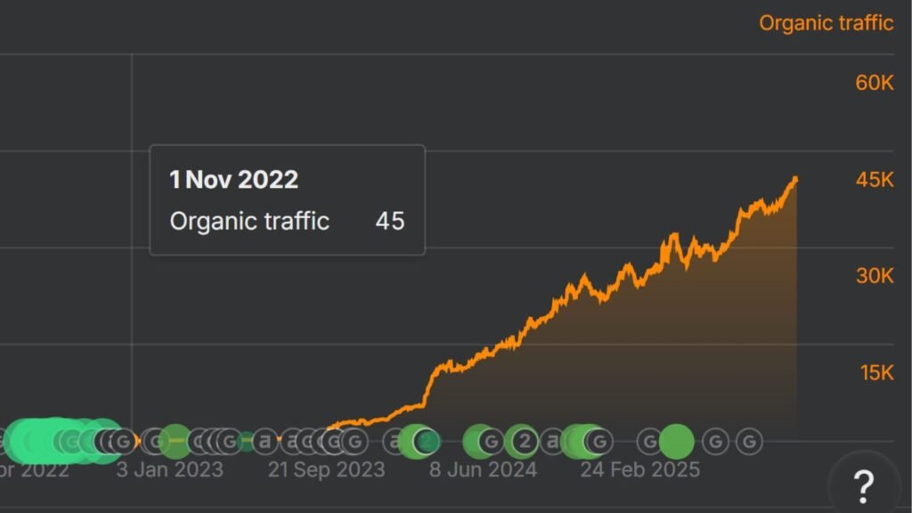 Die Entwicklung des monatlichen Traffics eines Kunden von Nils Peter Neumann.