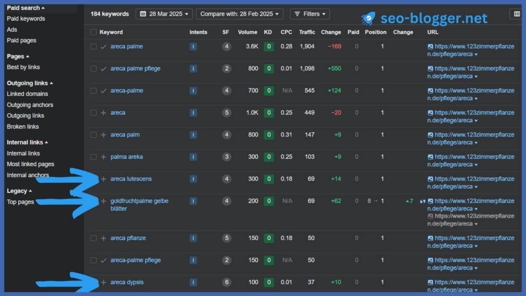 Screenshot der Organic Keywords in einer URL in Ahrefs unter „Site Explorer“ – „Organic Keywords“. Markiert sind 3 Keywords.