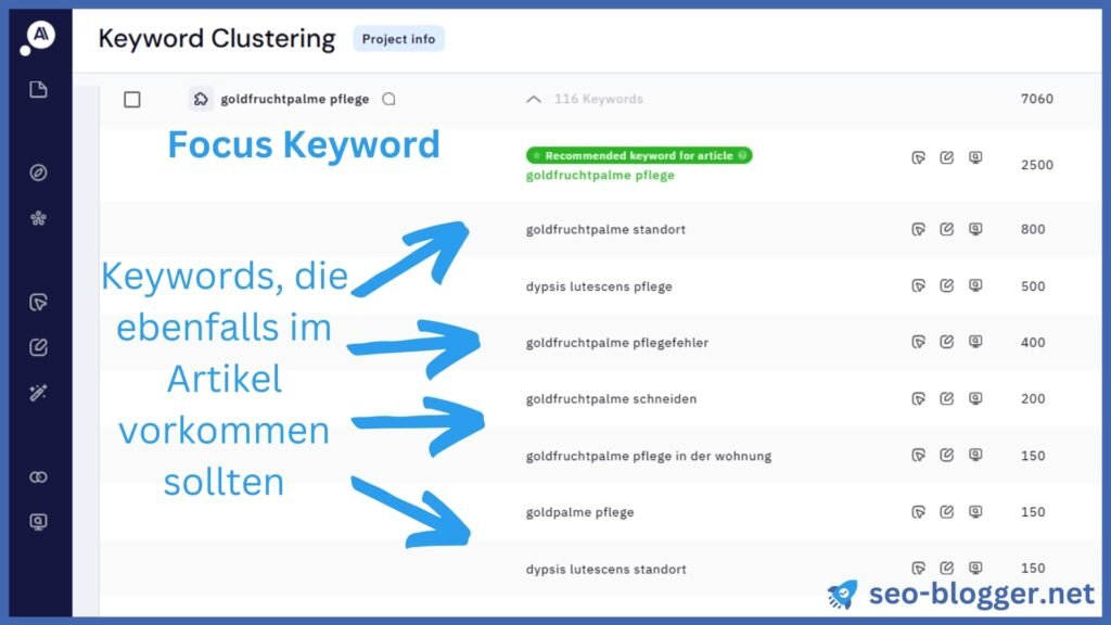 Screenshot eines Keyword Clusters in dem SEO-Tool Keyword Insights.