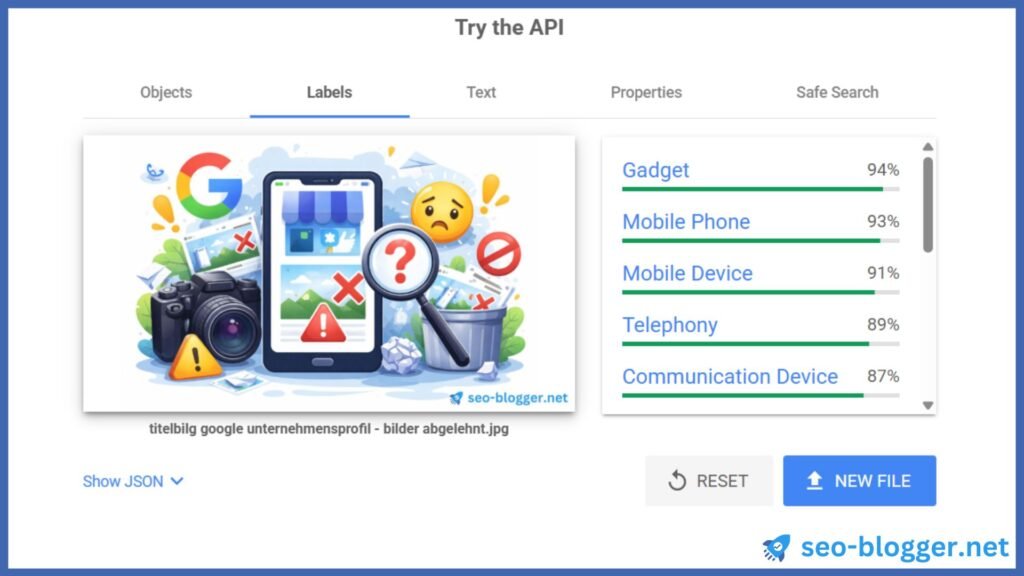 Screenshot – Google Cloud Vision API – Labels.